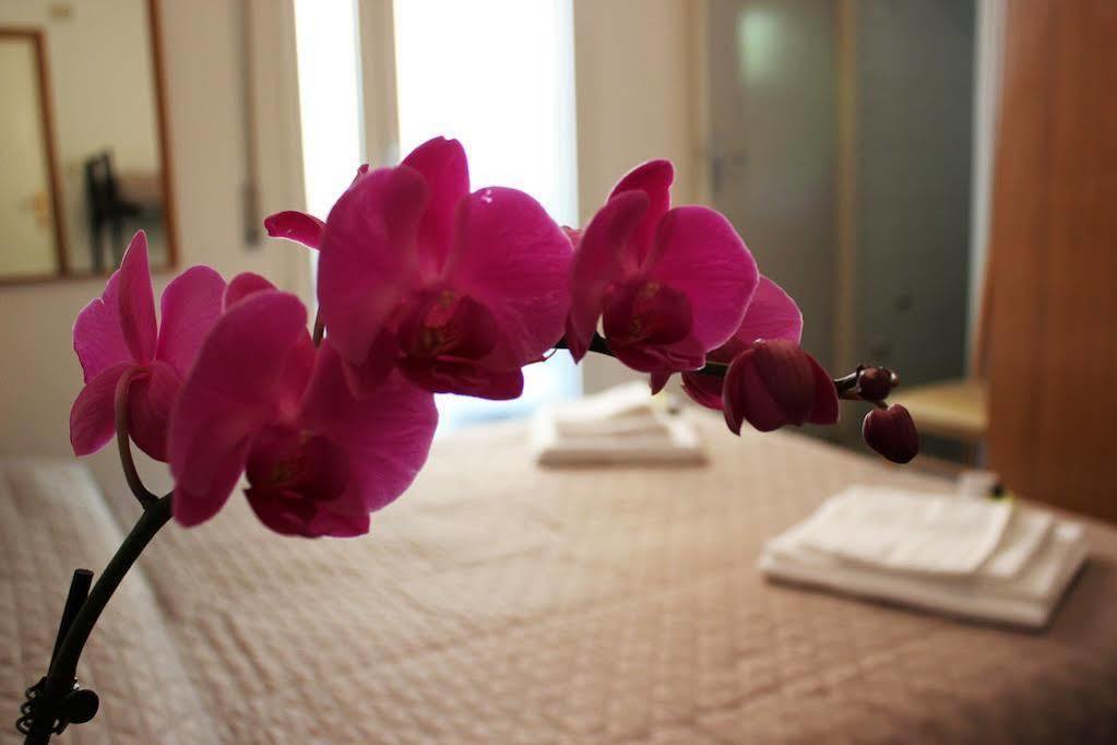 Hotel Leda Rimini Buitenkant foto